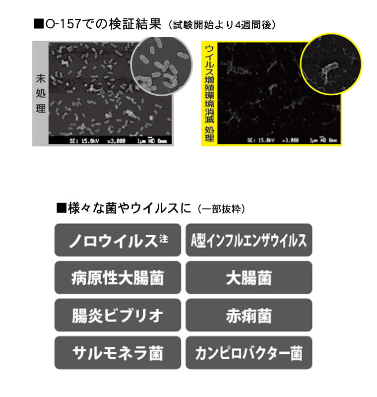 染めQの施工 13